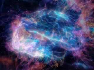 9. Brain